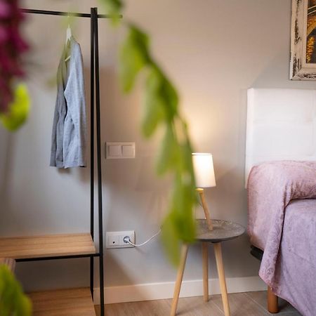 Apartamentos Terraza Ega エステーリャ エクステリア 写真
